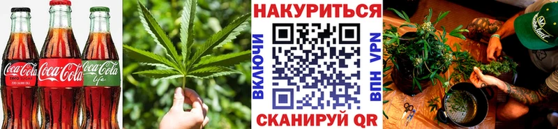 Купить  Талица  Canna-Cookies конопля 