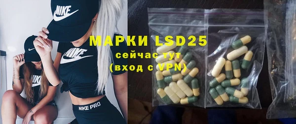 индика Арсеньев