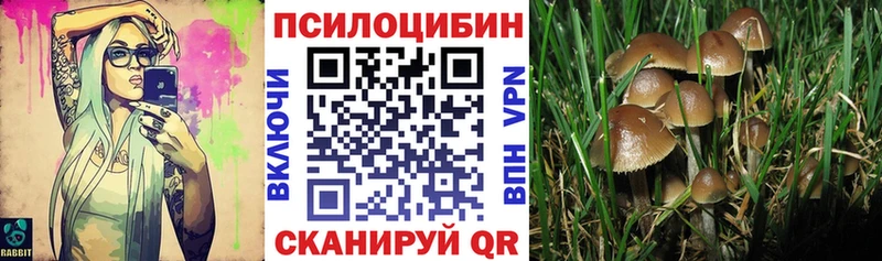 Купить где  Талица  Псилоцибиновые грибы прущие грибы 